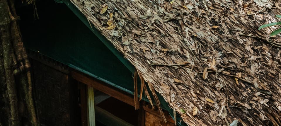 Terrace of a Treehouse in the Jungle