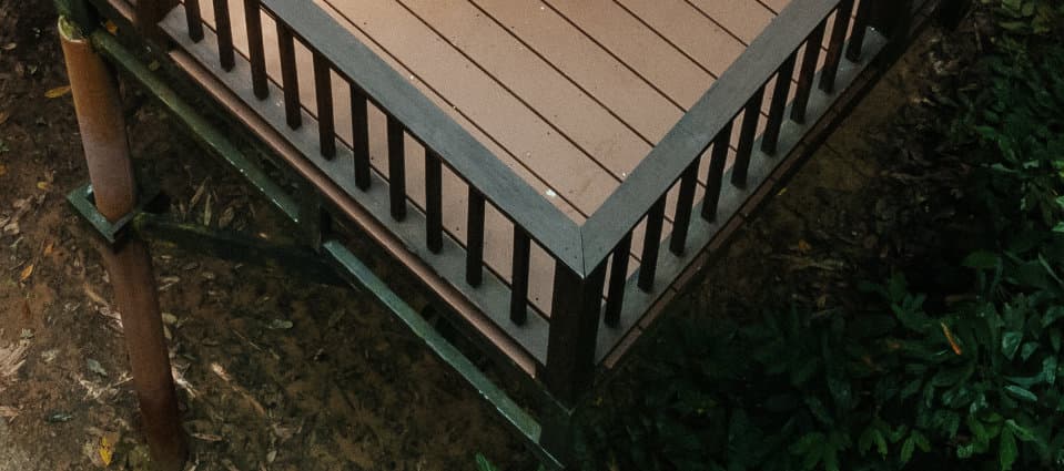 some more jungle view of Khao Sok